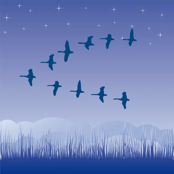 Illustration vectorielle migratrice des oiseaux dessin animé — Image vectorielle