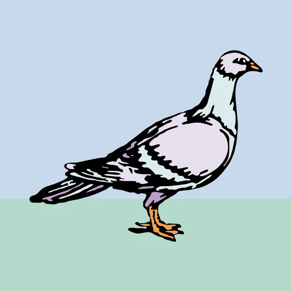 ベクトルの鳩 — ストックベクタ