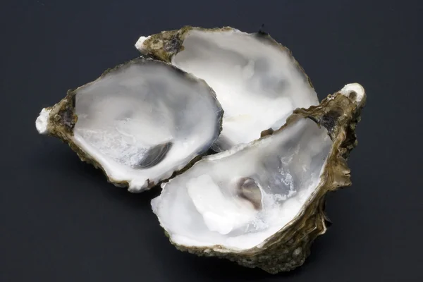 The oysters, — Stock Photo, Image