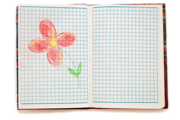 Zeichnung Blume in einem Notizbuch auf weißem Hintergrund. — Stockfoto