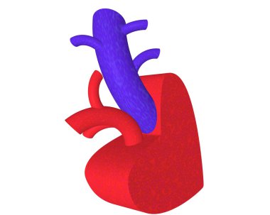 Heart clipart