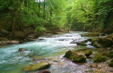 Flow in Chartreuse, France