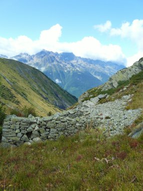 Fransız alps