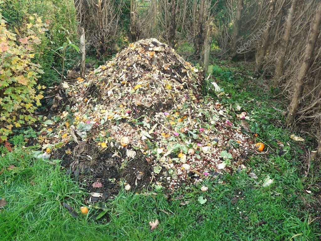 Go Green Peeing On Compost Heaps