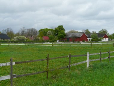 Kırmızı İsveçli çiftlik