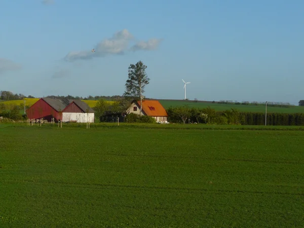 Fazenda sueca vermelha — Fotografia de Stock