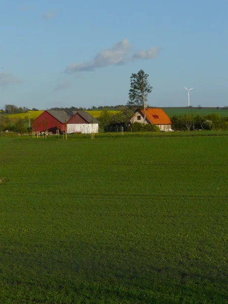 Červené švédské farmy — Stock fotografie