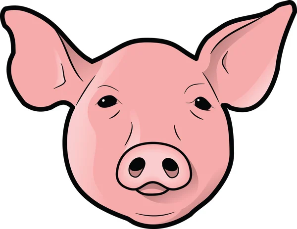 Pig's Head — Stock Photo © befehr #3829503