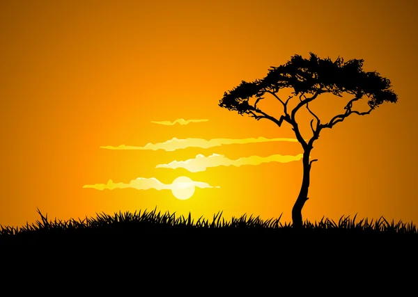 Savana sunset Stock Photos, Royalty Free Savana sunset Images ...