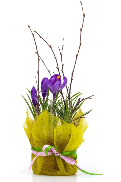 stock image Bouquet of spring crocuses in a decorative box