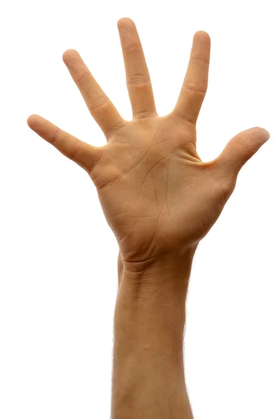 Hand isoliert auf weißem Hintergrund — Stockfoto