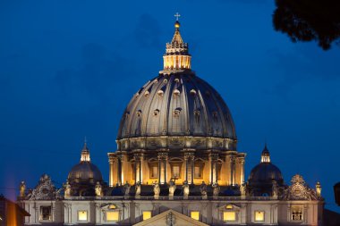 View on cupola of St.Peter's Cathedral clipart