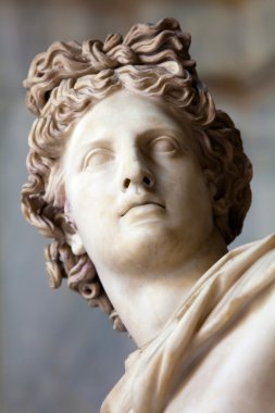 Apollo Belvedere statue. Detail clipart