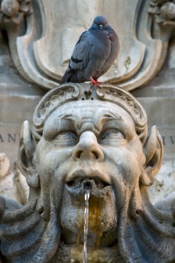 Pigeon sitting on a sculpture clipart