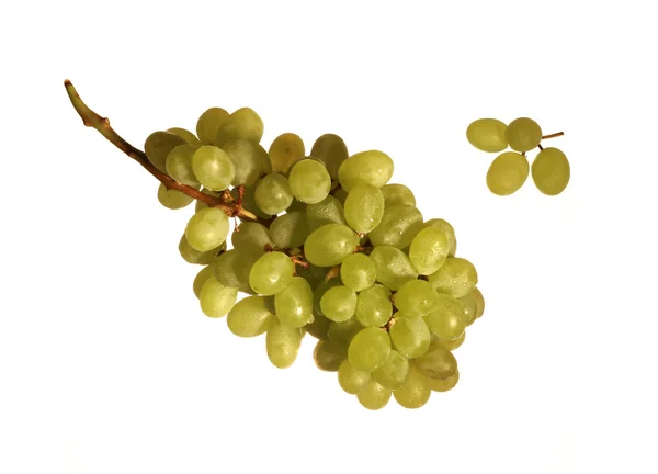 stock image Grapes cluster on a white background