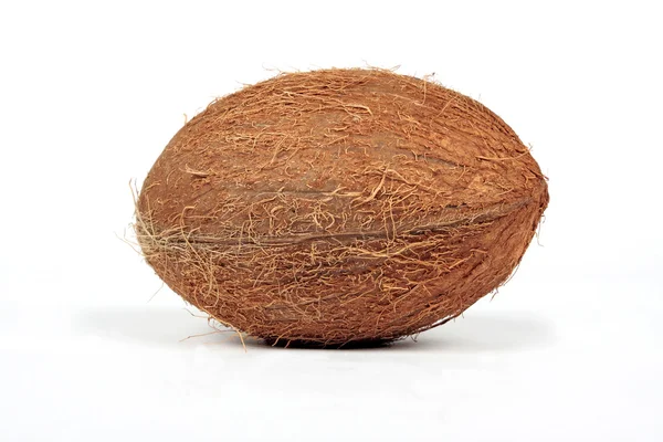 stock image Coconut