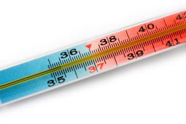 Thermometer clipart