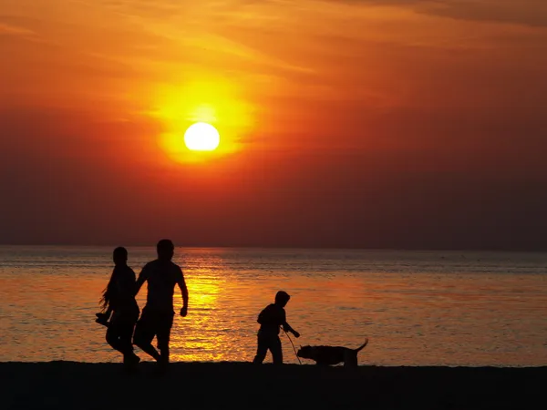 stock image Sunset