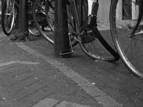 Roda de uma bicicleta — Fotografia de Stock