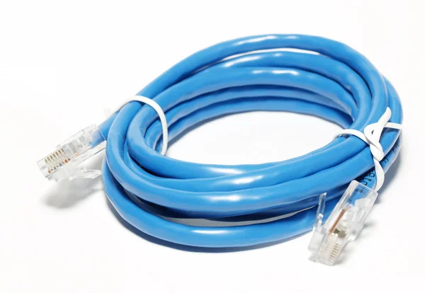 Kabel Utp untuk internet — Stok Foto