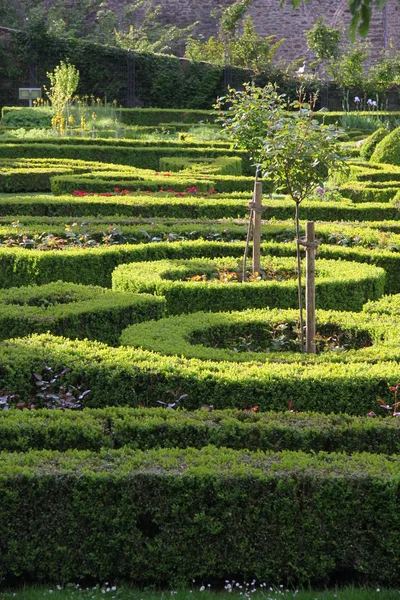 イトシュタイン宮殿の宮殿庭園 — ストック写真
