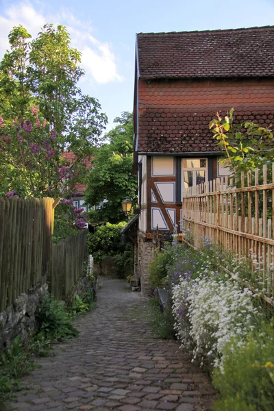 Wąski pas z ogrodzenie ogrodu — Zdjęcie stockowe