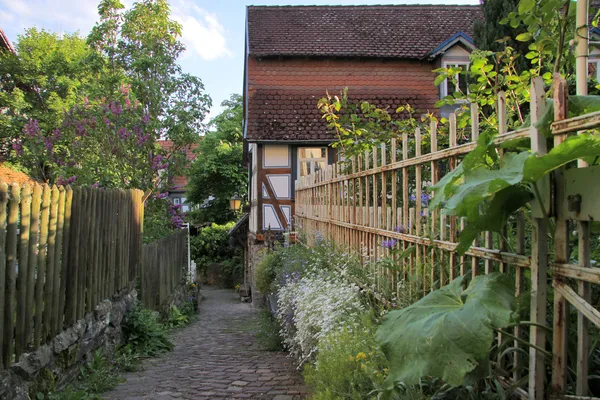 Smalle lane met tuin hek — Stockfoto