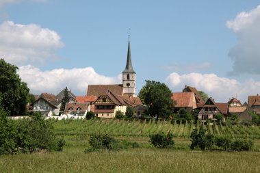 Village with vineyards clipart