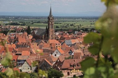 üzüm bağları ile köy