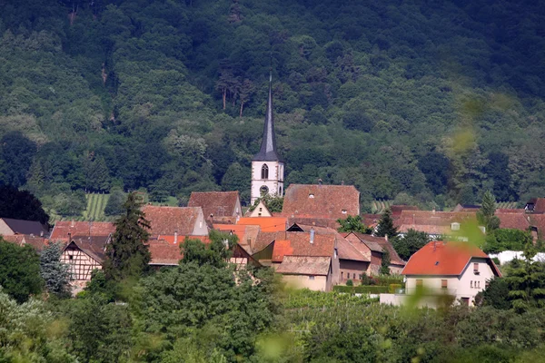 Dorf mit Weinbergen — Stockfoto