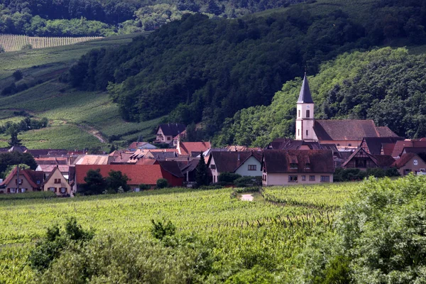 Village with vineyards — Stock Photo, Image