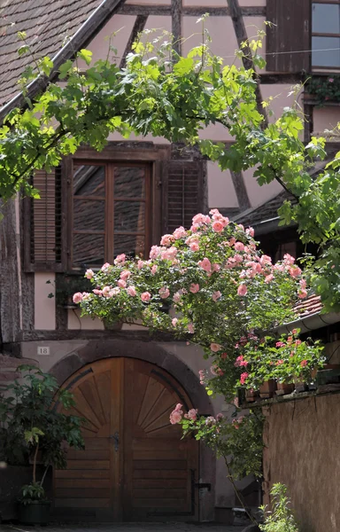 Vakwerkhuis met tendriled rozen — Stockfoto
