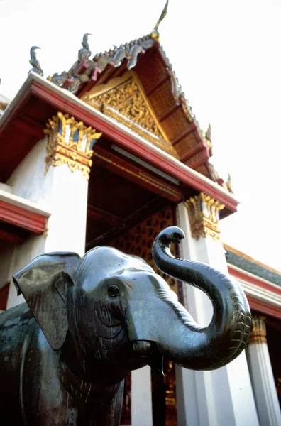 Слон в буддийском храме — стоковое фото