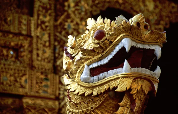 ドラゴンの黄金の頭 — ストック写真