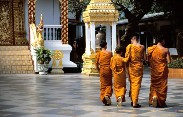 Buddhistiska munkar i orange — Stockfoto