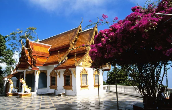 Buddhistischer Tempel — Zdjęcie stockowe