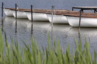 balaton Gölü yakınlarında tihany