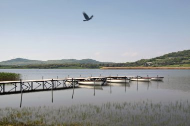 Tihany 'deki Balaton Gölü