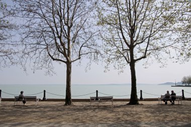 Balatonf