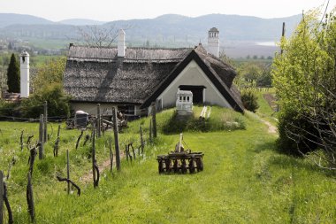 Balaton Gölü 'ndeki çiftlik evi.