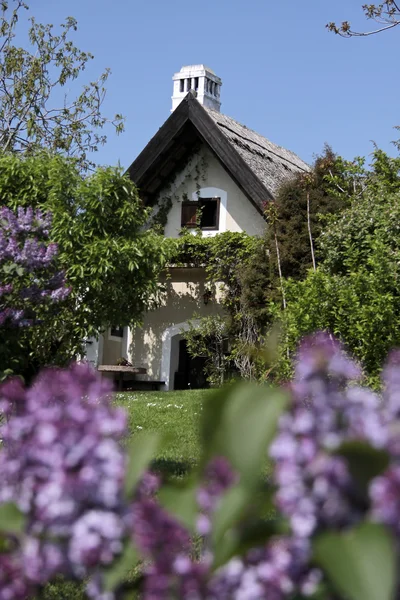 Rieten huis aan het Balatonmeer — Stockfoto