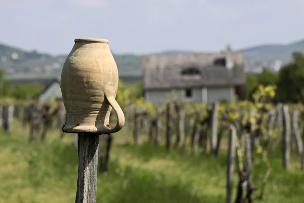 Winnice i kościół wsi nad Balatonem — Zdjęcie stockowe