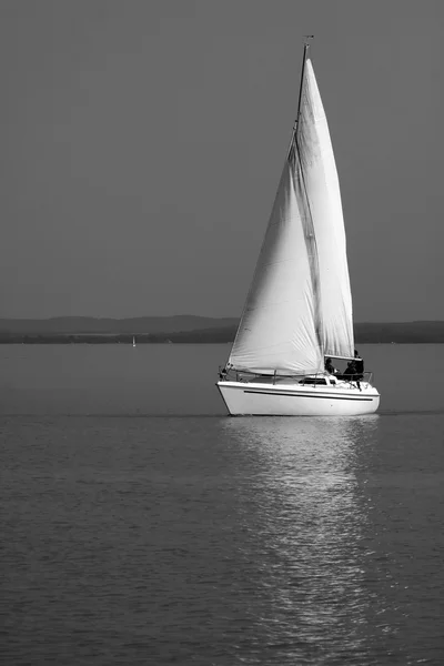Vit segelbåt på Balatonsjön — Stockfoto