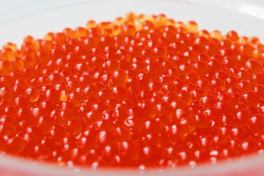 Salmon red caviar clipart