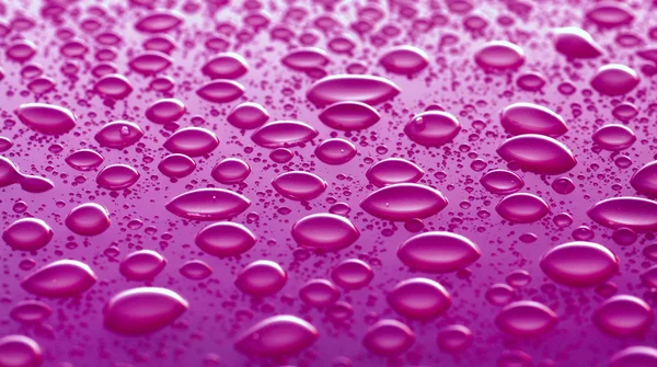 stock image Water drops