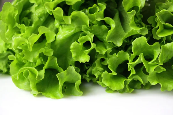 stock image Lettuce