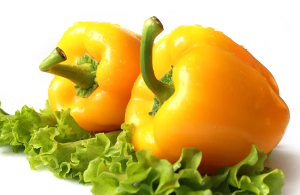 Gele paprika met sla — Stockfoto
