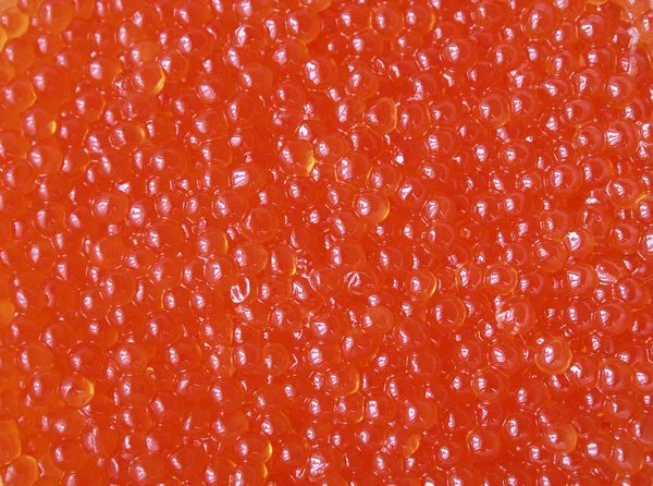 Σολομού Χαβιάρι κόκκινο — Φωτογραφία Αρχείου