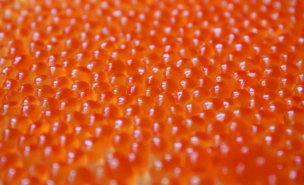Caviale rosso salmone — Foto Stock