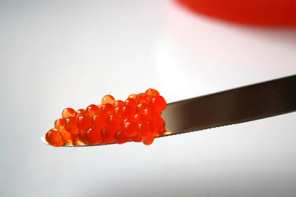Caviar rojo salmón —  Fotos de Stock
